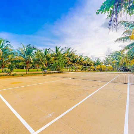 Hotel Kiara At Hummingbird Estate Gold Standard Certified Dangriga Exterior foto